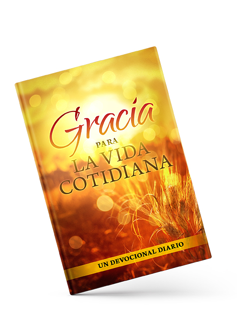 Gracia para la Vida Cotidiana Book Cover angle view