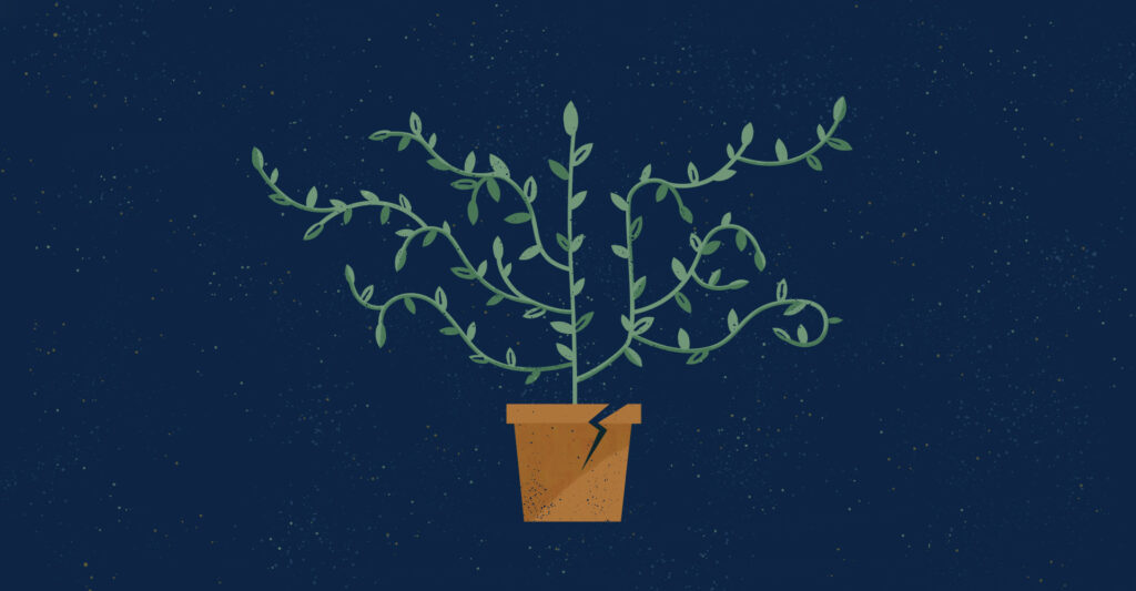 Grown Through Trials