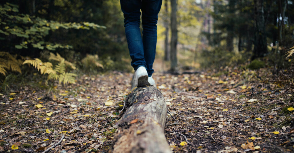 Walking in the Daylight