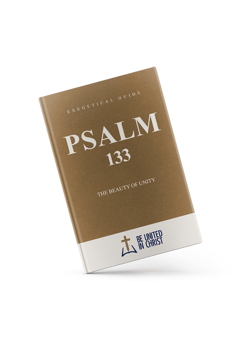 Psalm 133 Book Cover angle view